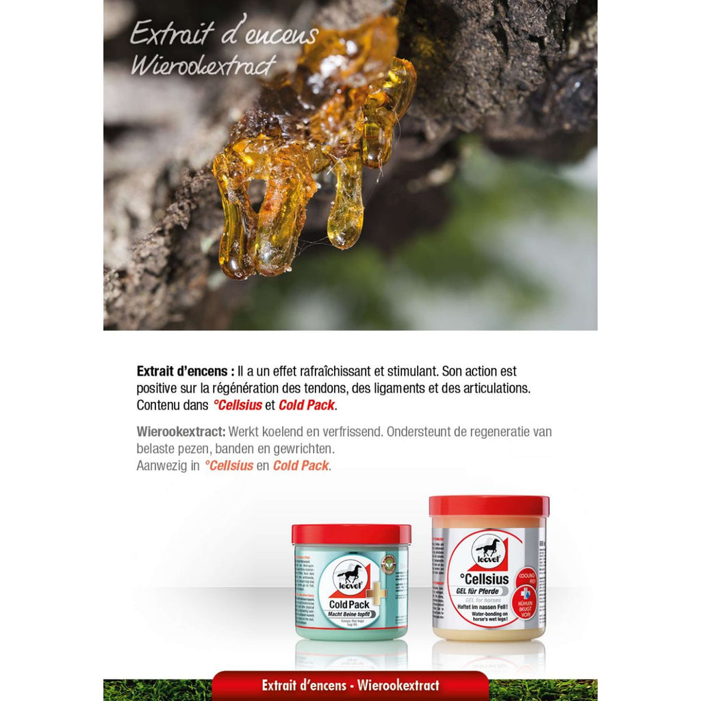 Leovet Pack de Froid