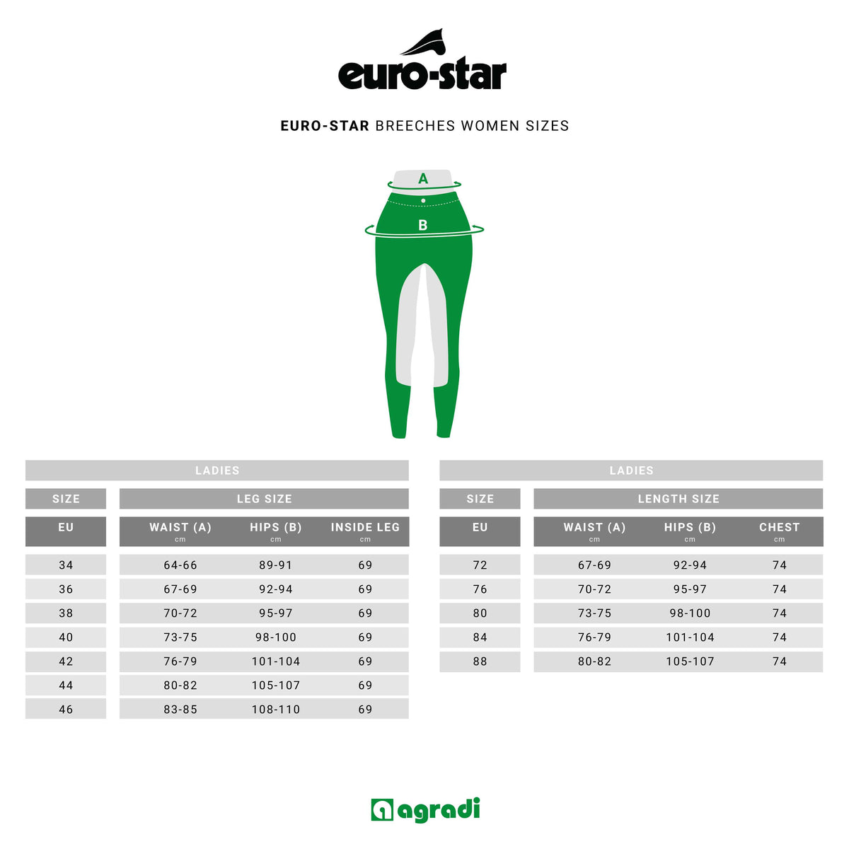 Euro-star Breeches Arista Full Grip Titane