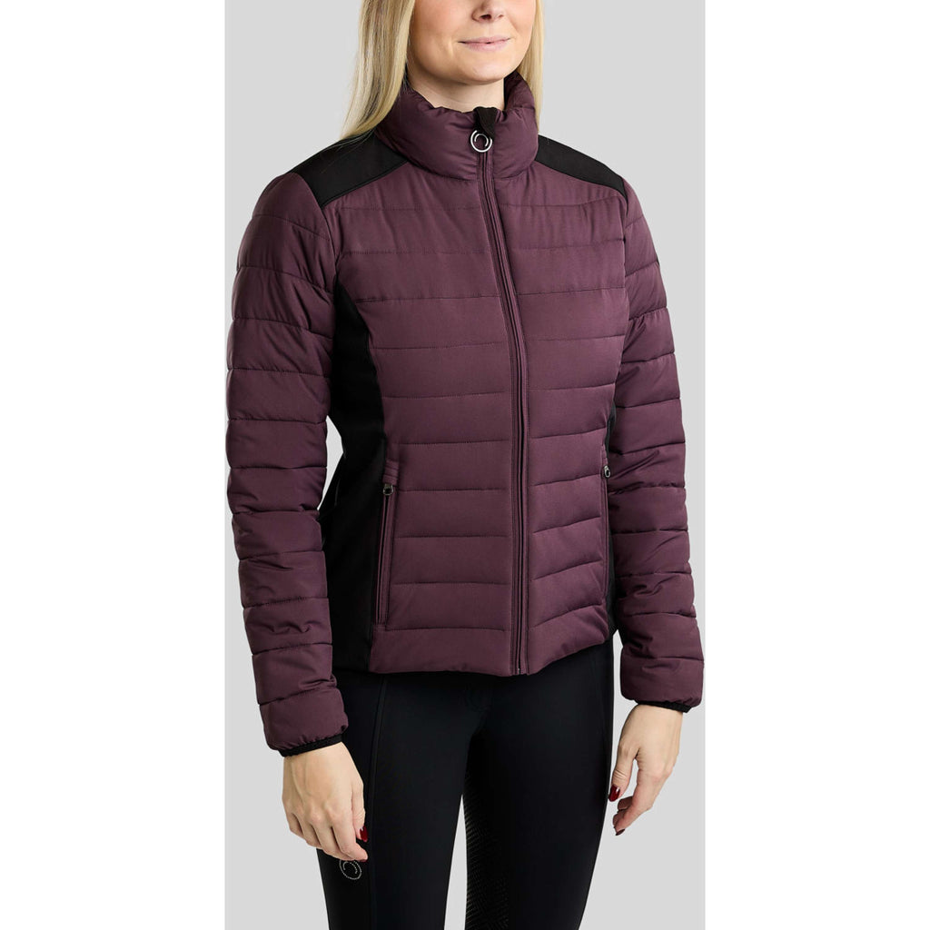 Montar Veste MoRuby Essential Padded Softshell Fig