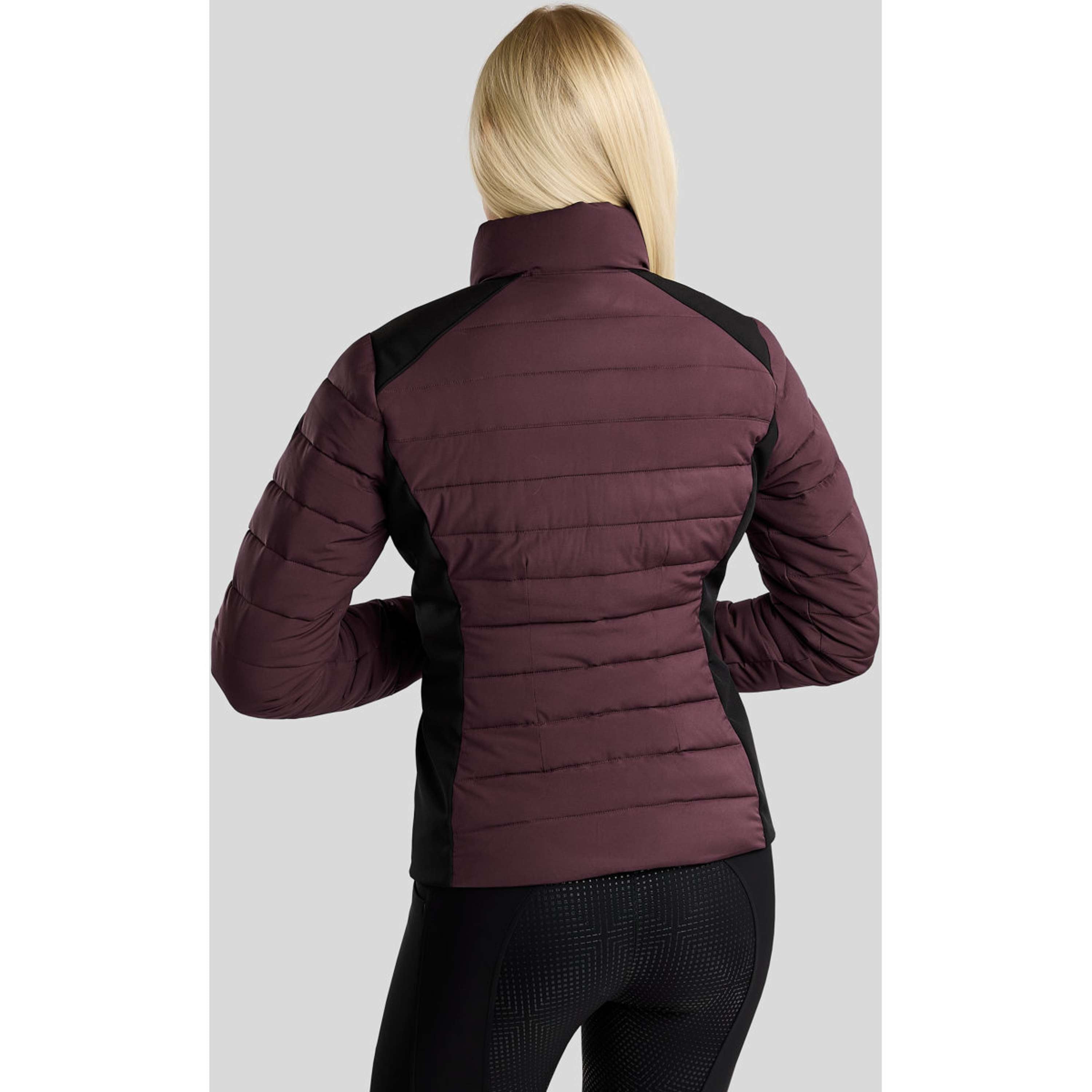Montar Veste MoRuby Essential Padded Softshell Fig