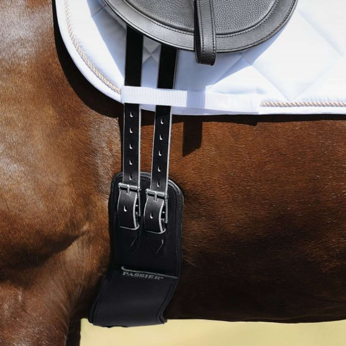 Passier Sangle Dressage Noir