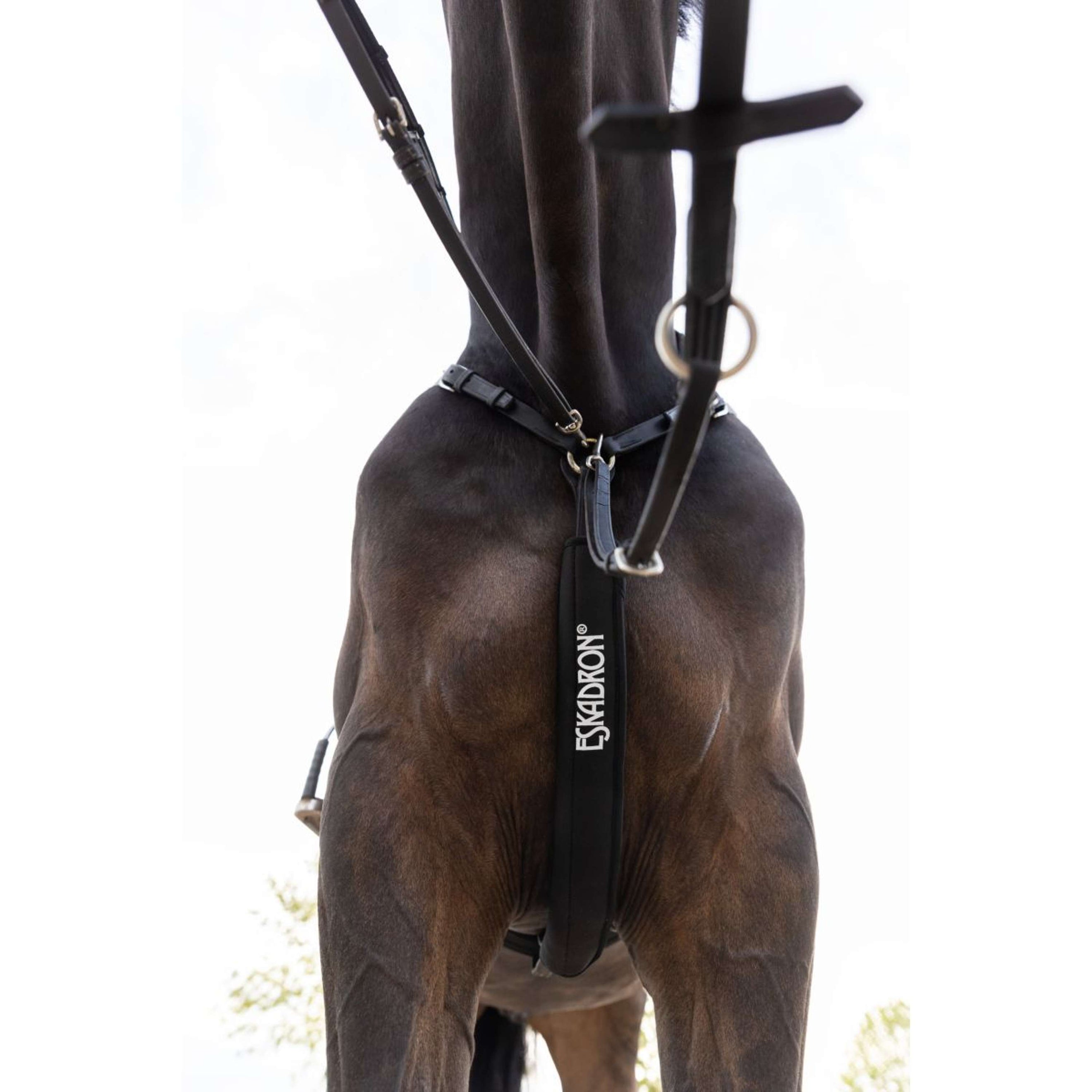 Eskadron Protecteur de Martingale Neoprene Noir