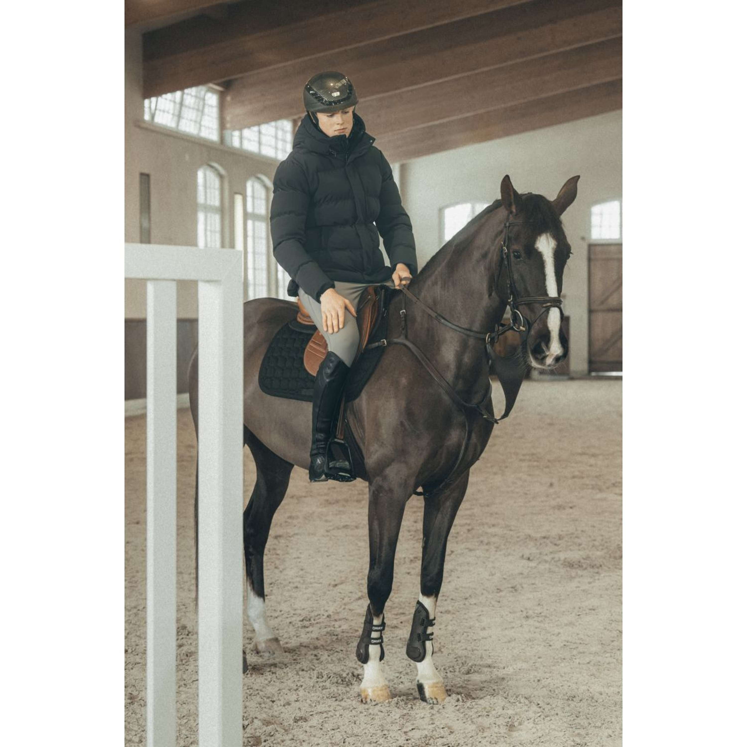 Pikeur Manteau d'Hiver Quilted Athleisure AW26 Hommes Noir