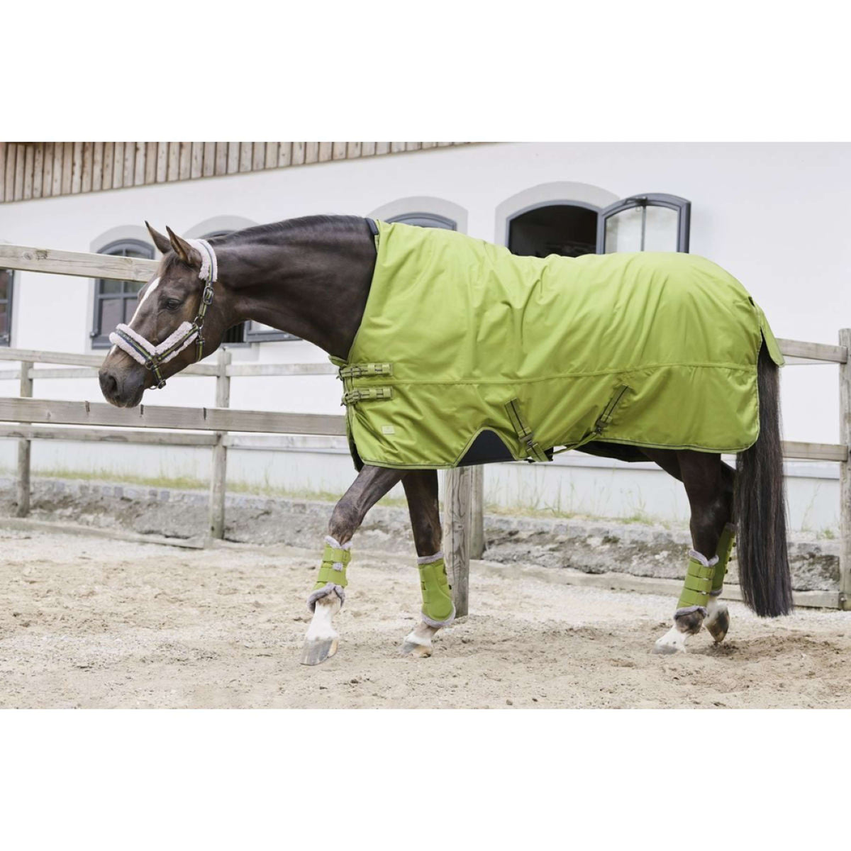 Eskadron Dressage Boots Platinum Mesh Fauxfur Vert-mousse