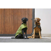 Eskadron Veste pour Chien Platinum Bouclé Teak