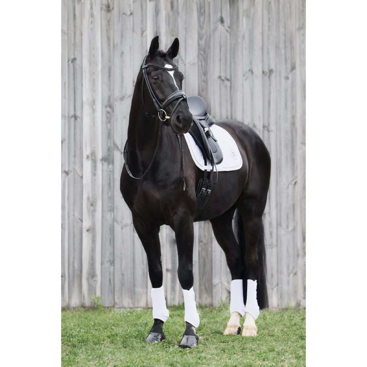 Eskadron Flextrainers Platinum Pro Dressage Pour Blanc