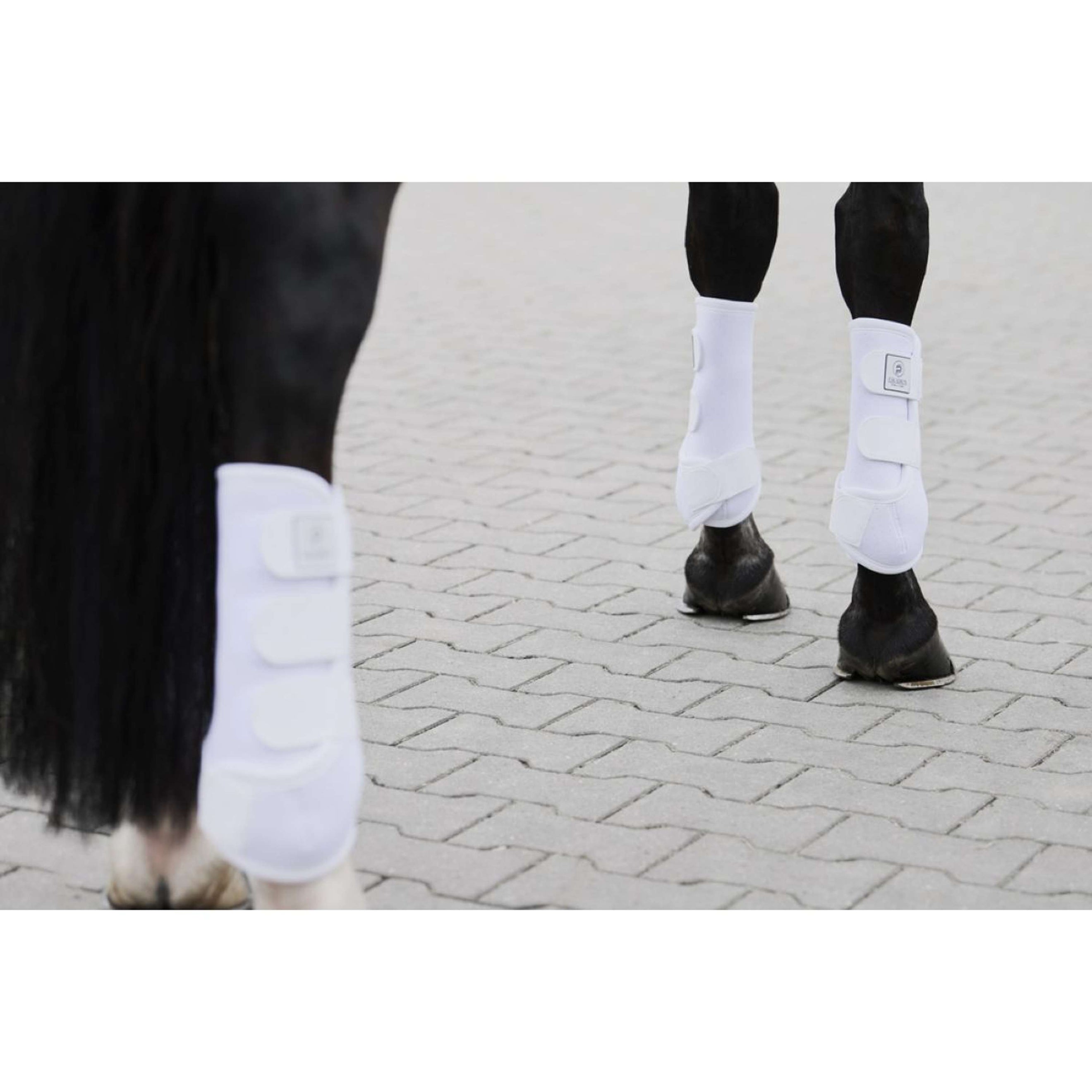 Eskadron Flextrainers Platinum Pro Dressage Arrière Blanc