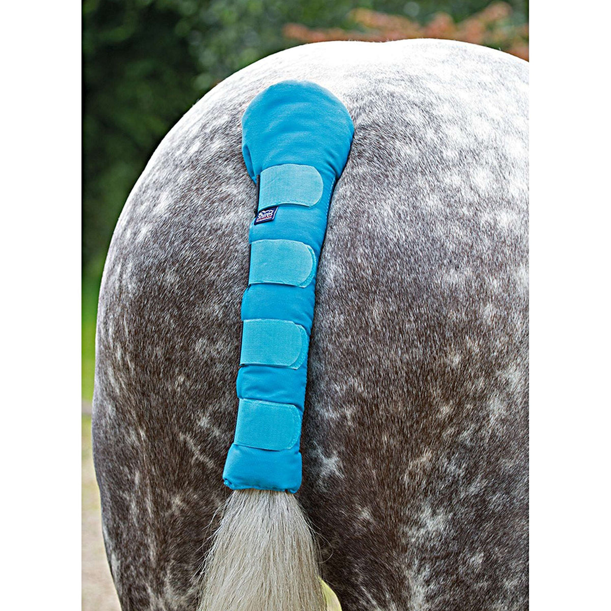 Arma by Shires Protege Queue Padded Bleu Brillant