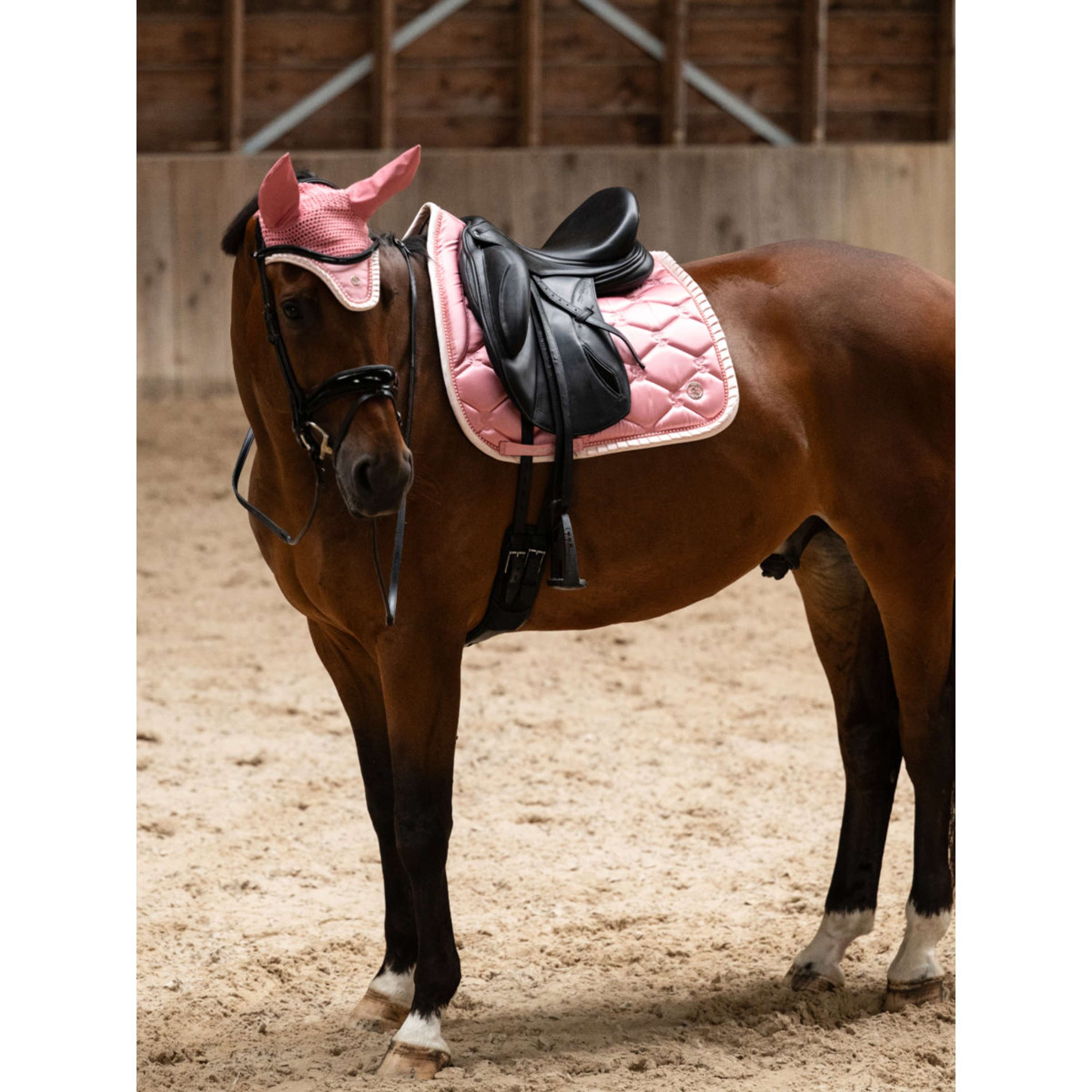 PS of Sweden Tapis de Selle Ruffle Pearl Dressage Vintage Pink