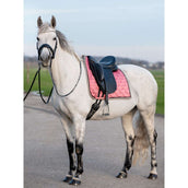 PS of Sweden Tapis de Selle Heart Dressage Apricot Pink