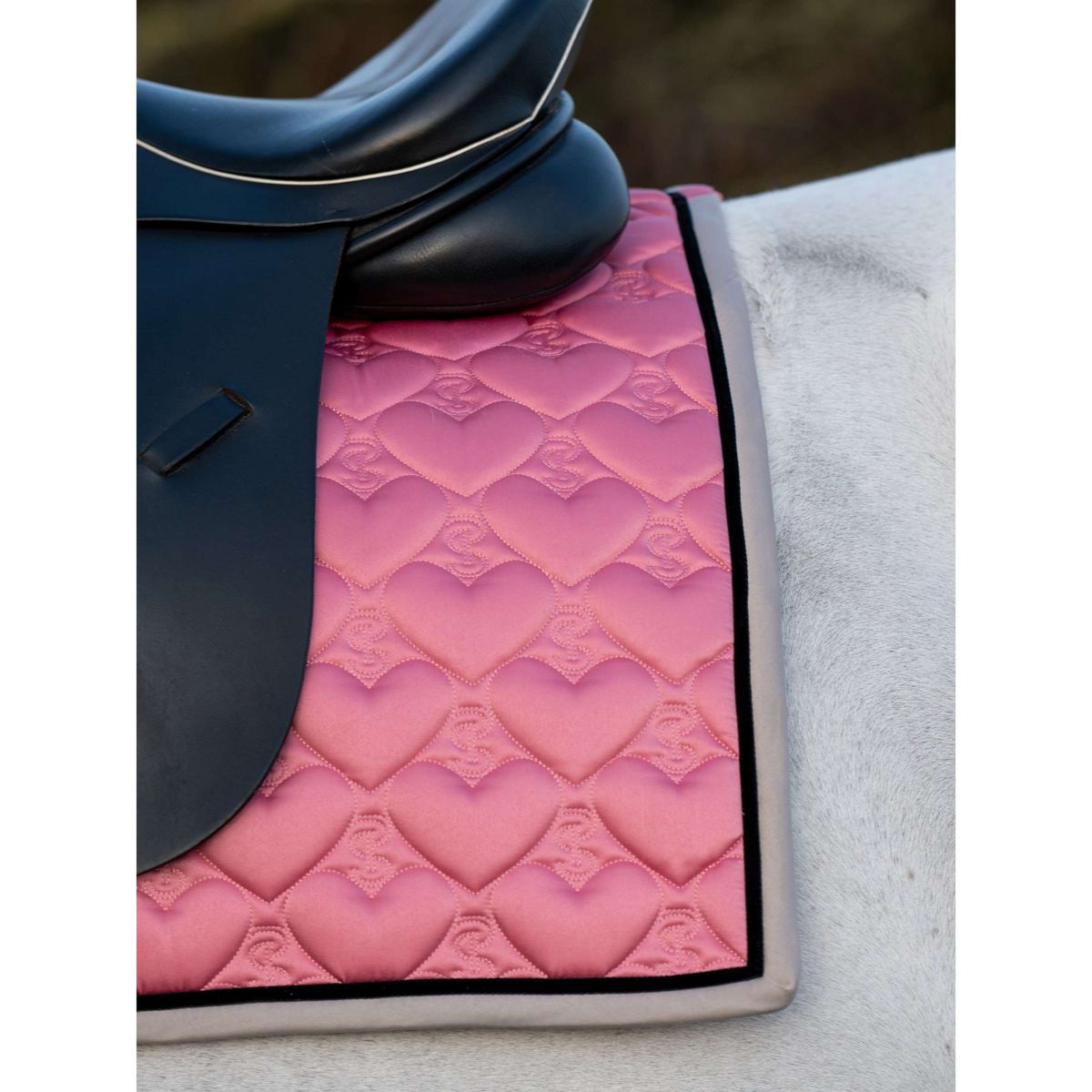 PS of Sweden Tapis de Selle Heart Dressage Apricot Pink