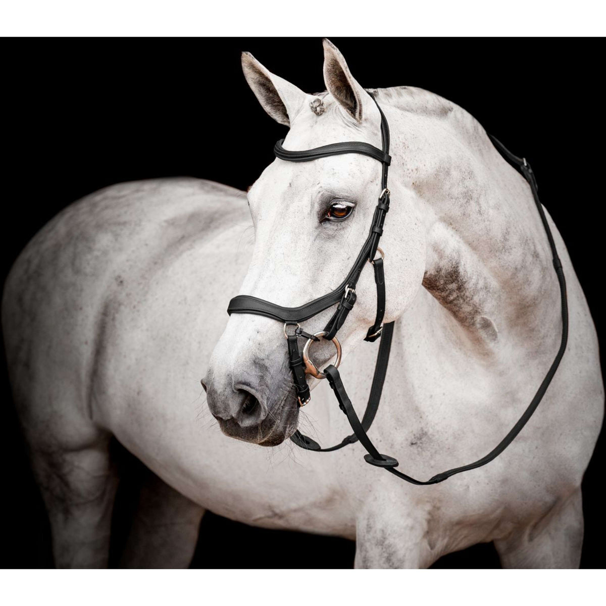 Rambo Micklem Competition Bridle Nouveau Noir