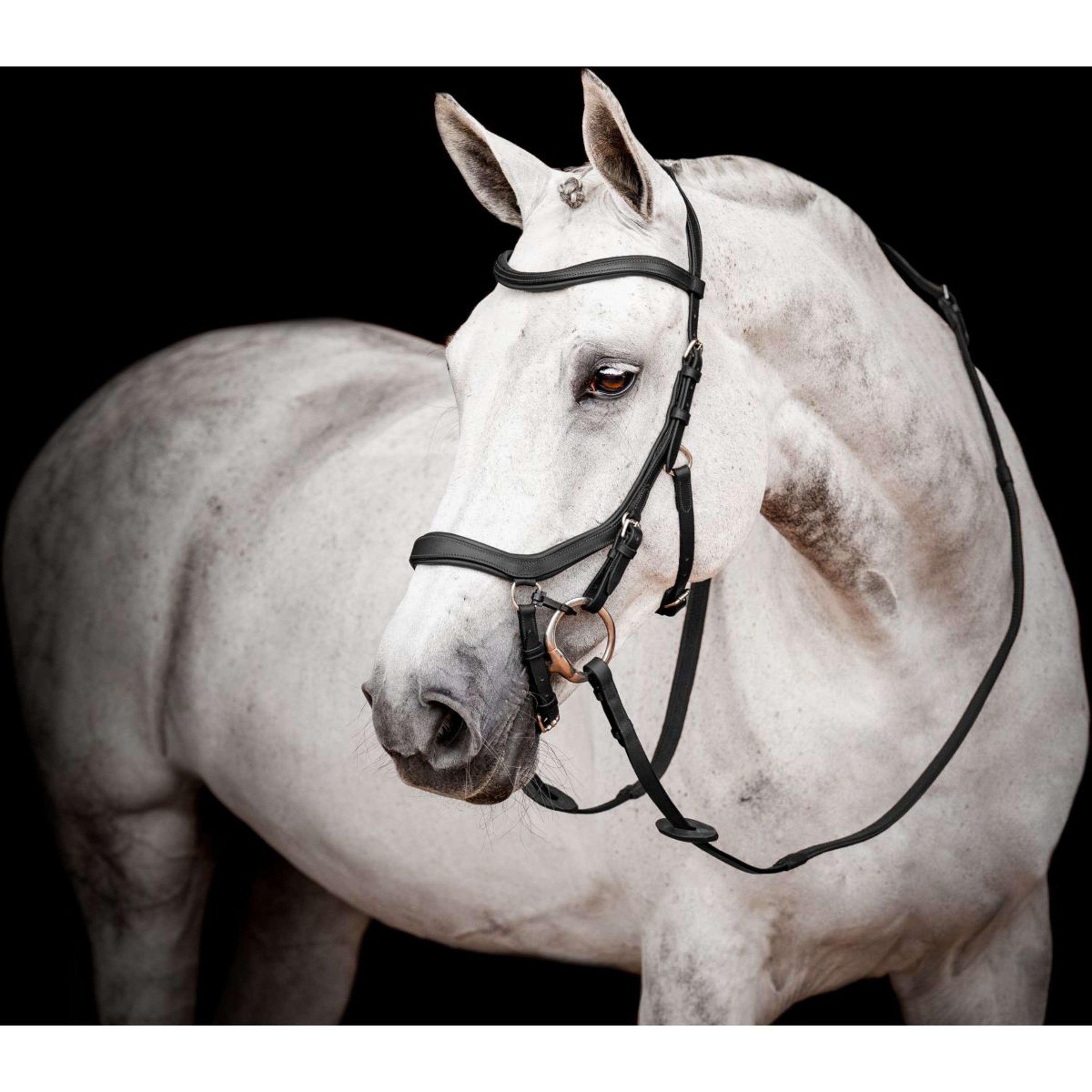 Rambo Micklem Competition Bridle Nouveau Noir