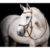 Horseware Micklem Competition Bridle Nouveau Dark Havana