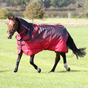 Tempest Original Turnout Combo Rug 200g Redskel