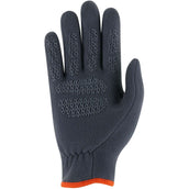 Roeckl Gants d'Équitation Kylemore Gris/Pinstripe