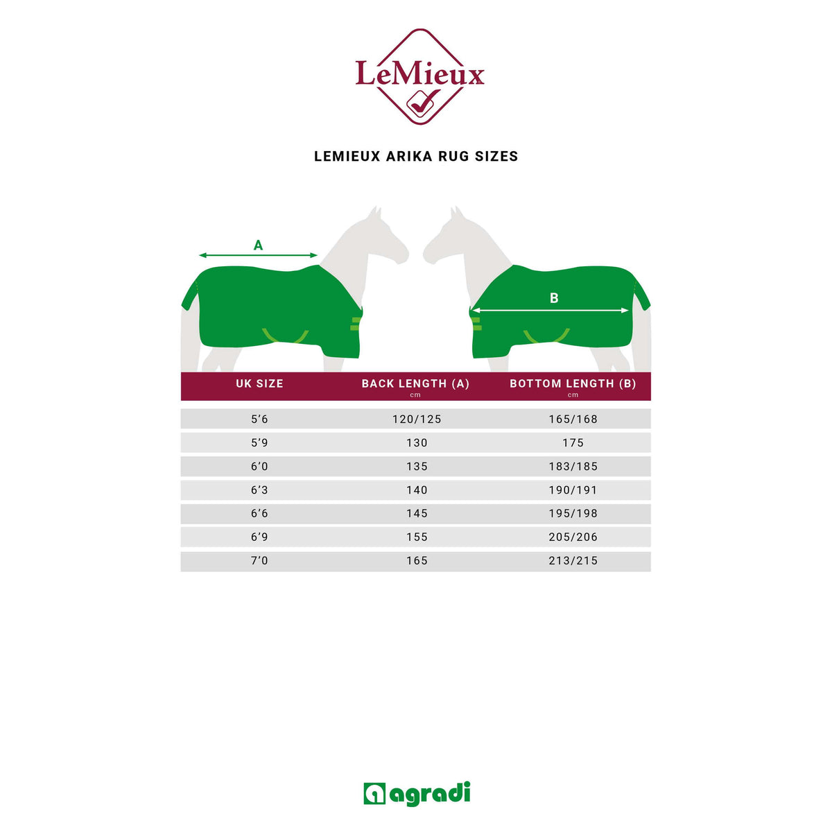 LeMieux Couvertures d'Extérieur Arika 600D 100g Alpine