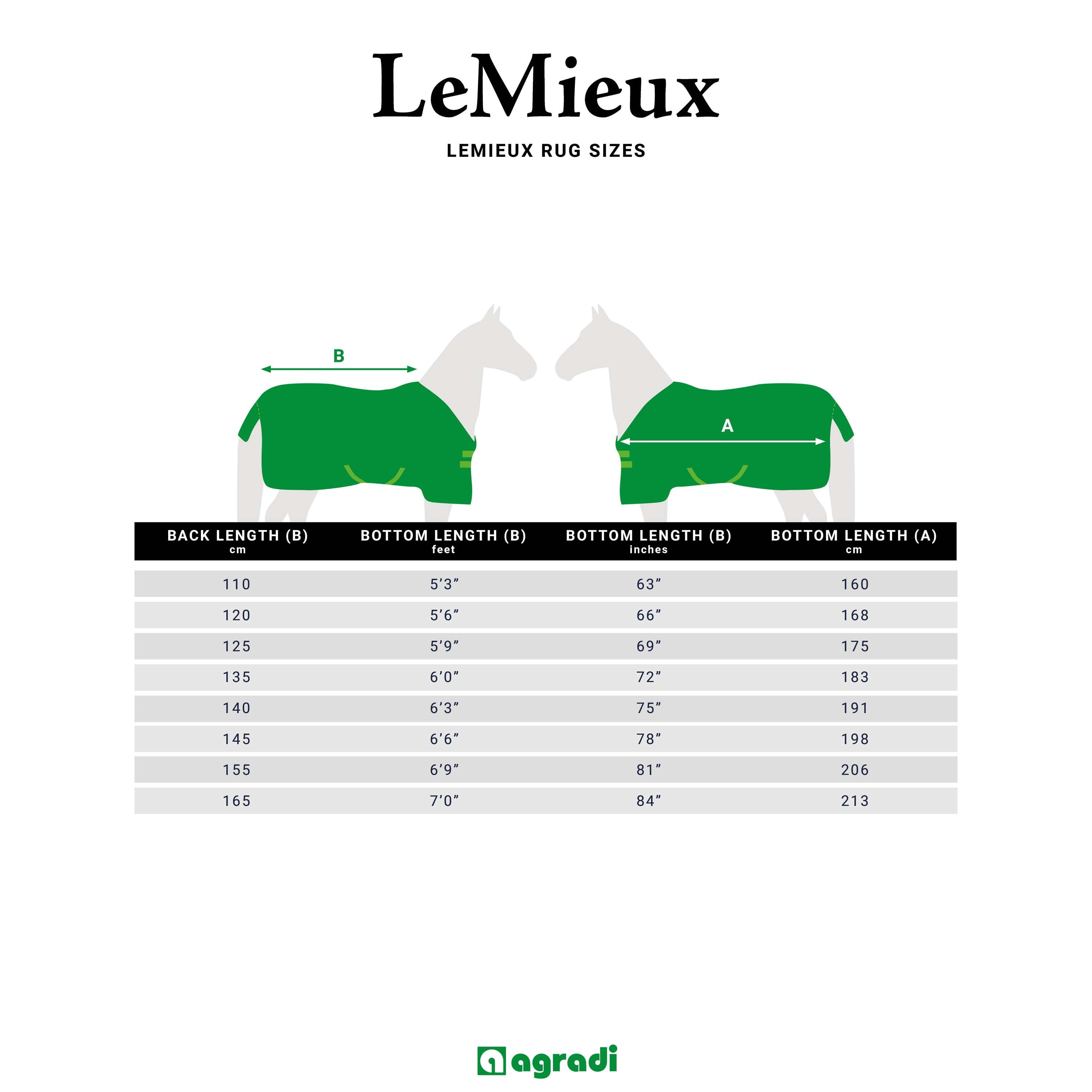 LeMieux Couverture Anti-Mouches Kudos Gladiator Gris