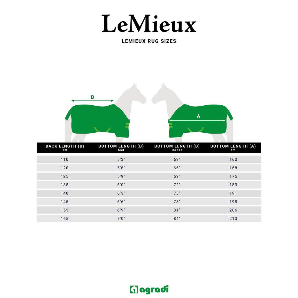 LeMieux Couverture Anti-Mouches Kudos AeroGuard Argent