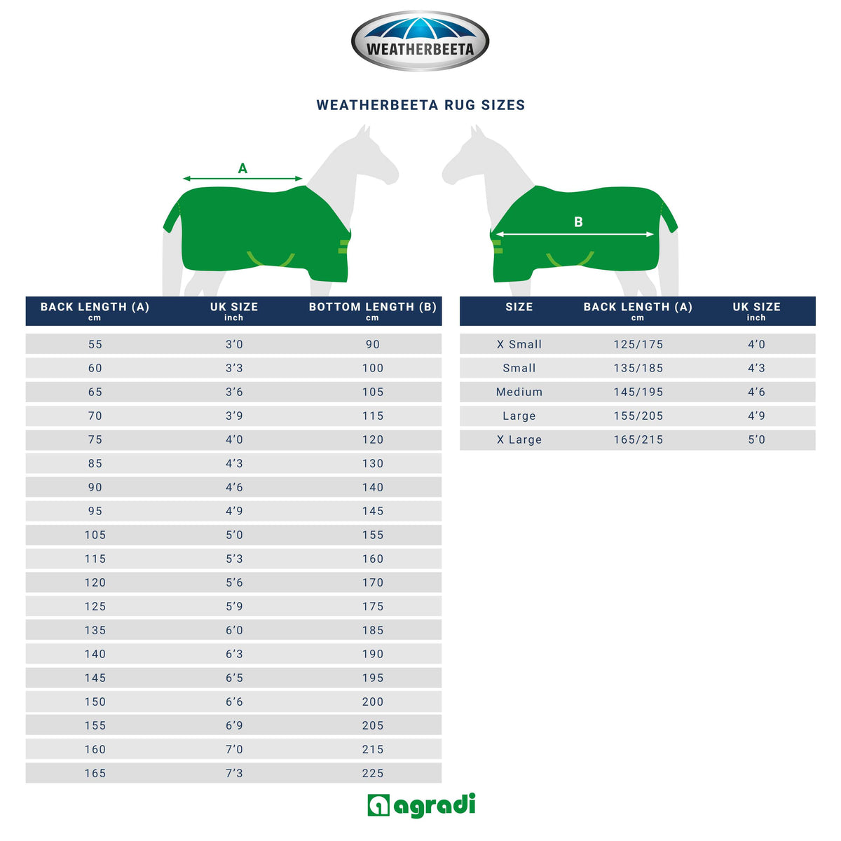 Weatherbeeta Couverture d'Hiver Comfitec Plus Dynamic II Detach-A-Neck Medium 220g Grey/Dark Green/White