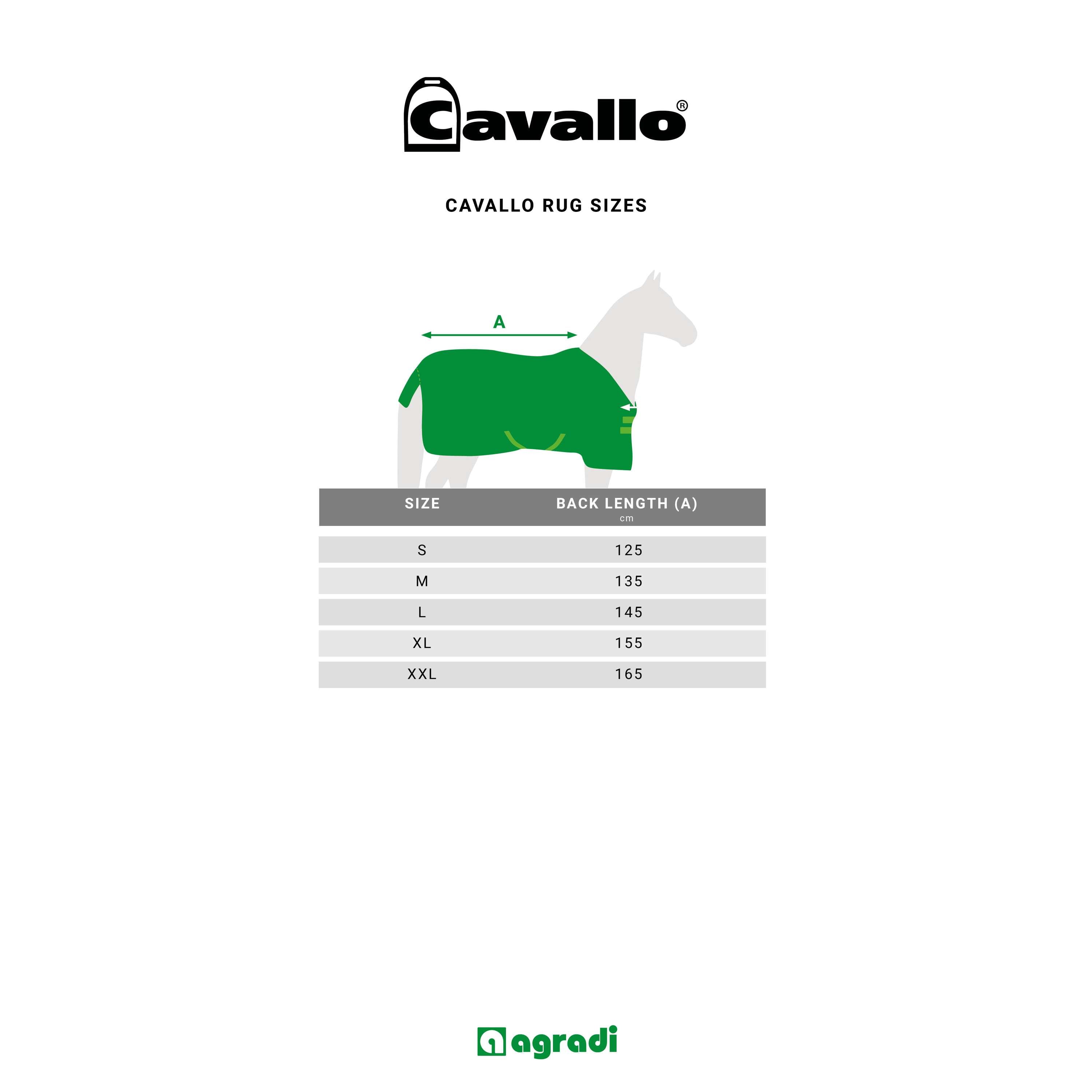 Cavallo Couverture Polaire CavalQuick Dry Cooler Mocha Latte