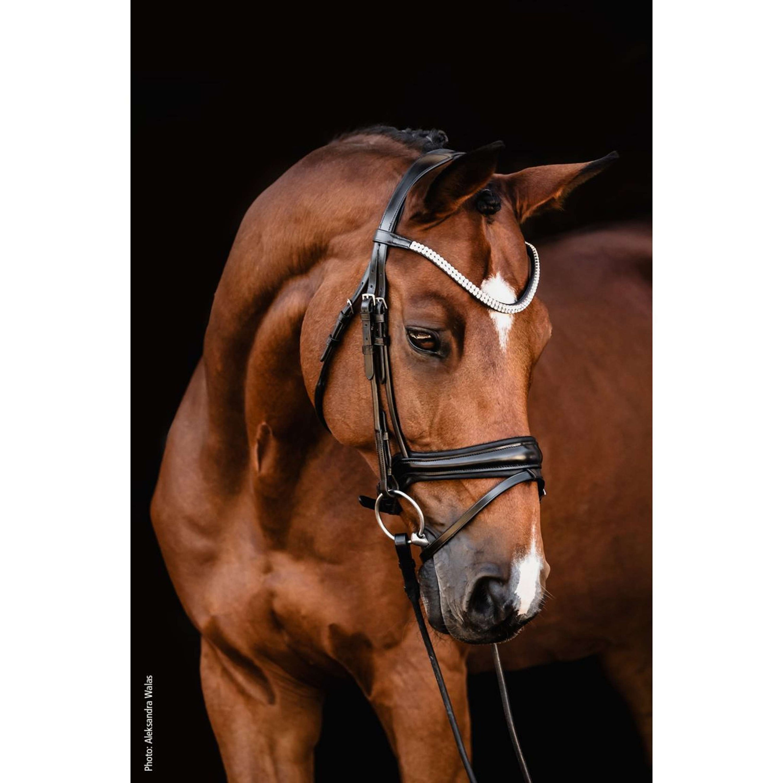 Schockemöhle Bridon SP Isabell Werth Johnny Noir/Argent Schockemöhle Bridon SP Isabell Werth Johnny Noir/Argent