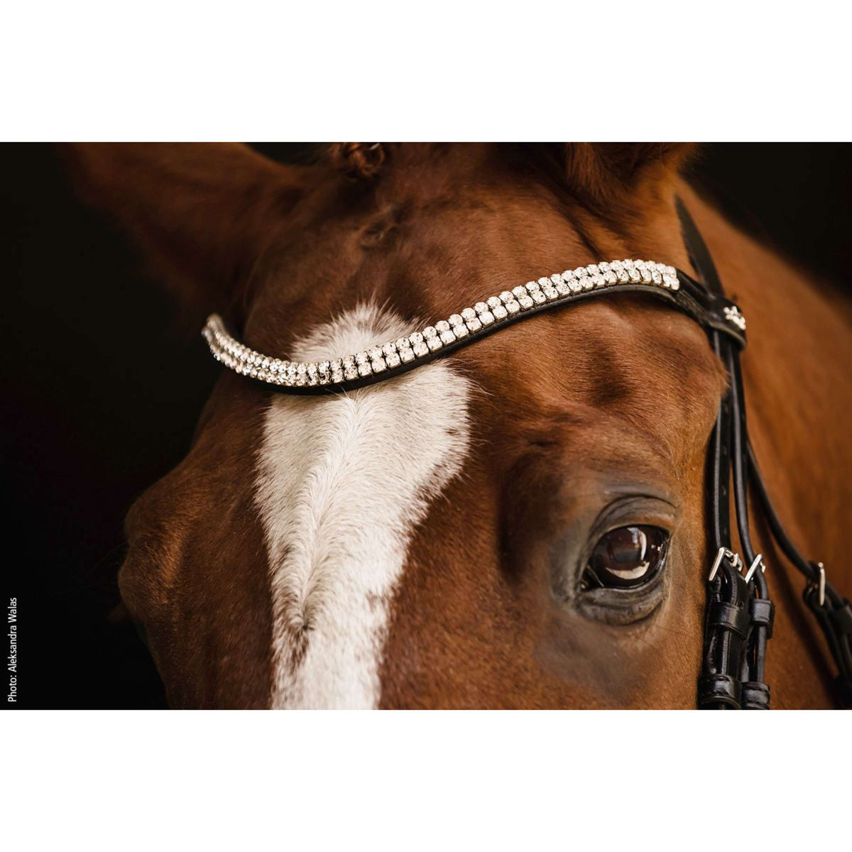 Schockemöhle Bridon SP Isabell Werth Johnny Noir/Argent