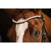 Schockemöhle Bridon SP Isabell Werth Johnny Noir/Argent