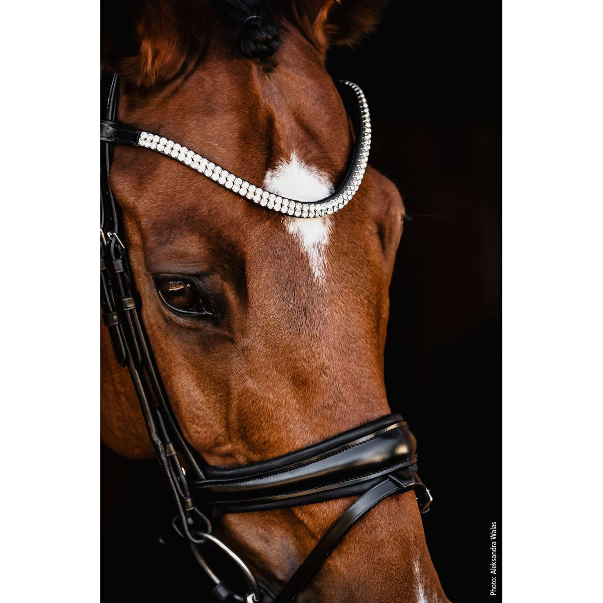 Schockemöhle Bridon SP Isabell Werth Johnny Noir/Argent