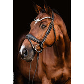 Schockemöhle Bridon SP Isabell Werth Johnny Noir/Argent