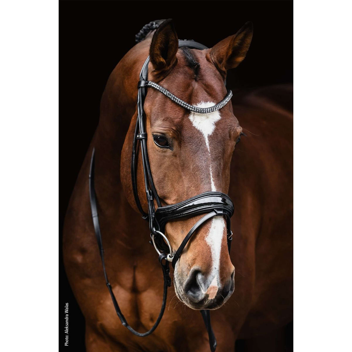 Schockemöhle Bridon SP Isabell Werth Satchmo Noir/Patent/Argent