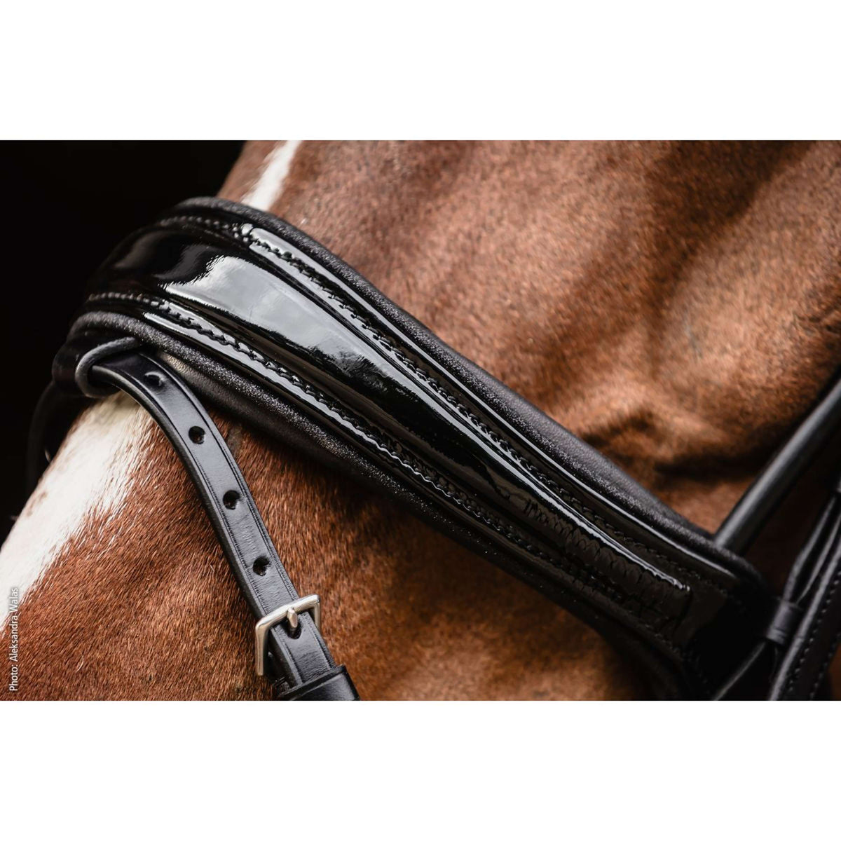 Schockemöhle Bridon SP Isabell Werth Satchmo Noir/Patent/Argent