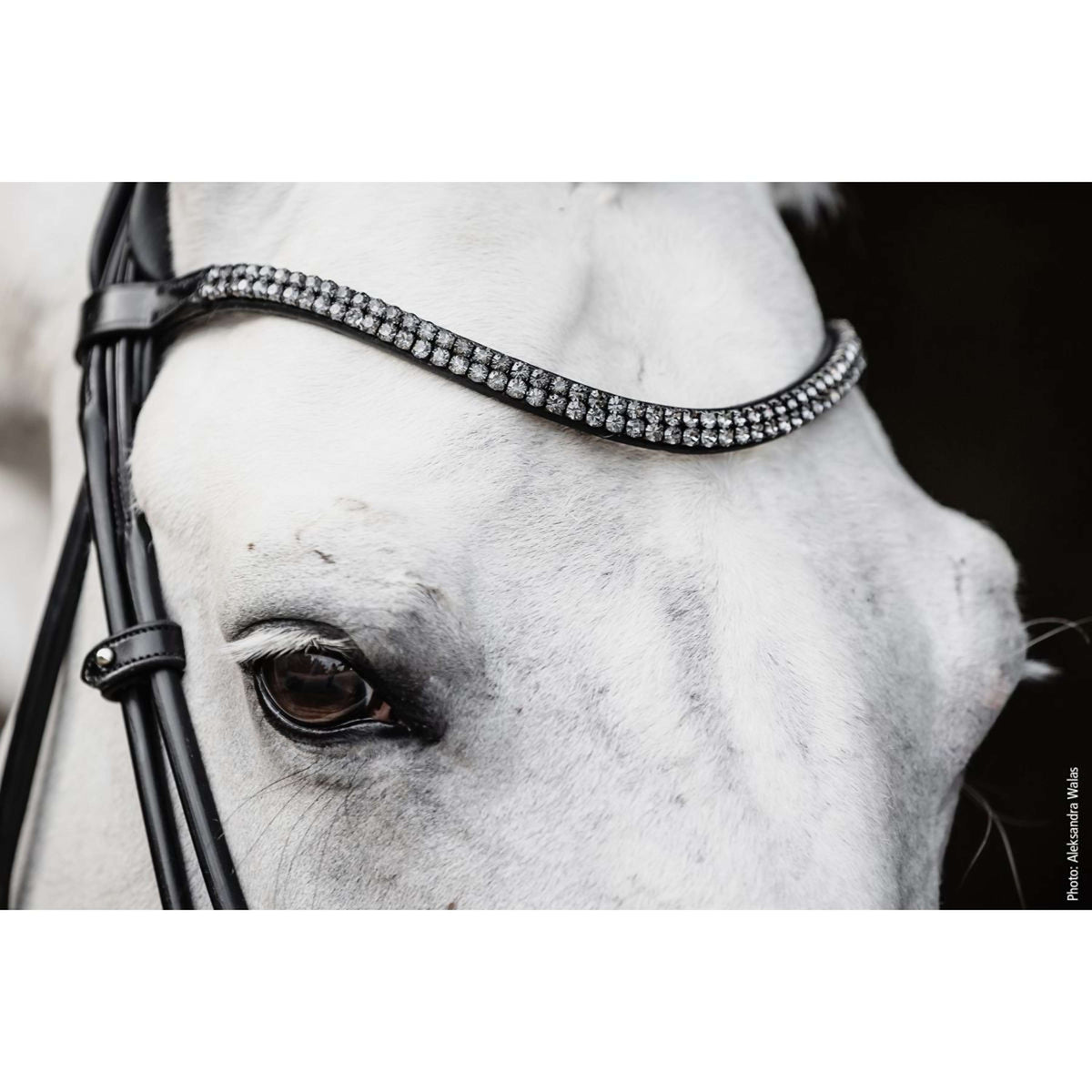 Schockemöhle Bridon SP Isabell Werth Satchmo Noir/Patent/Argent