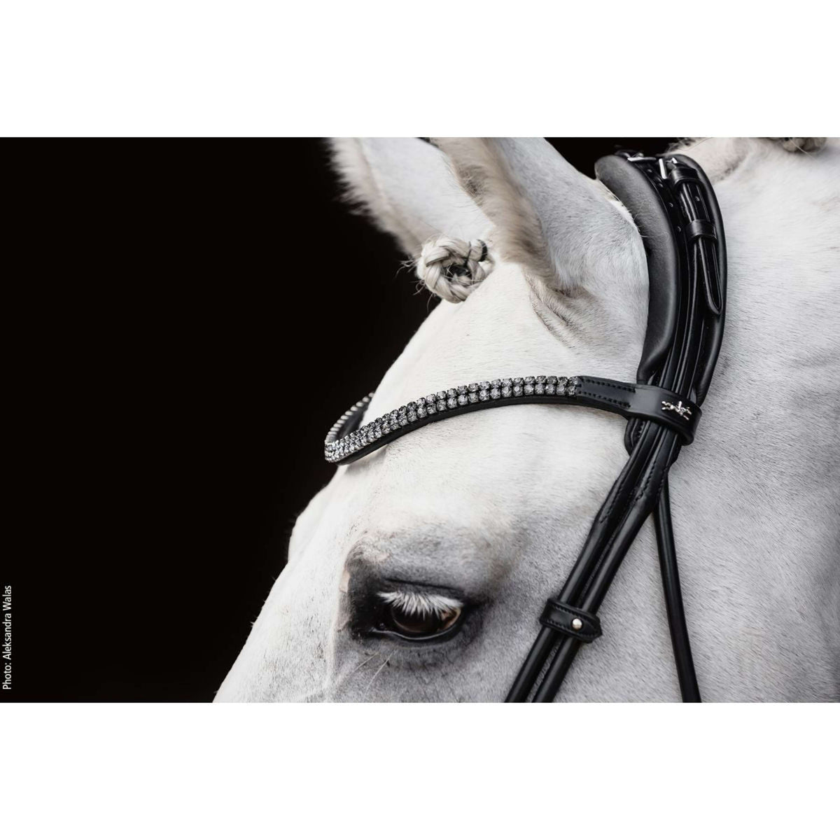 Schockemöhle Bridon SP Isabell Werth Satchmo Noir/Patent/Argent