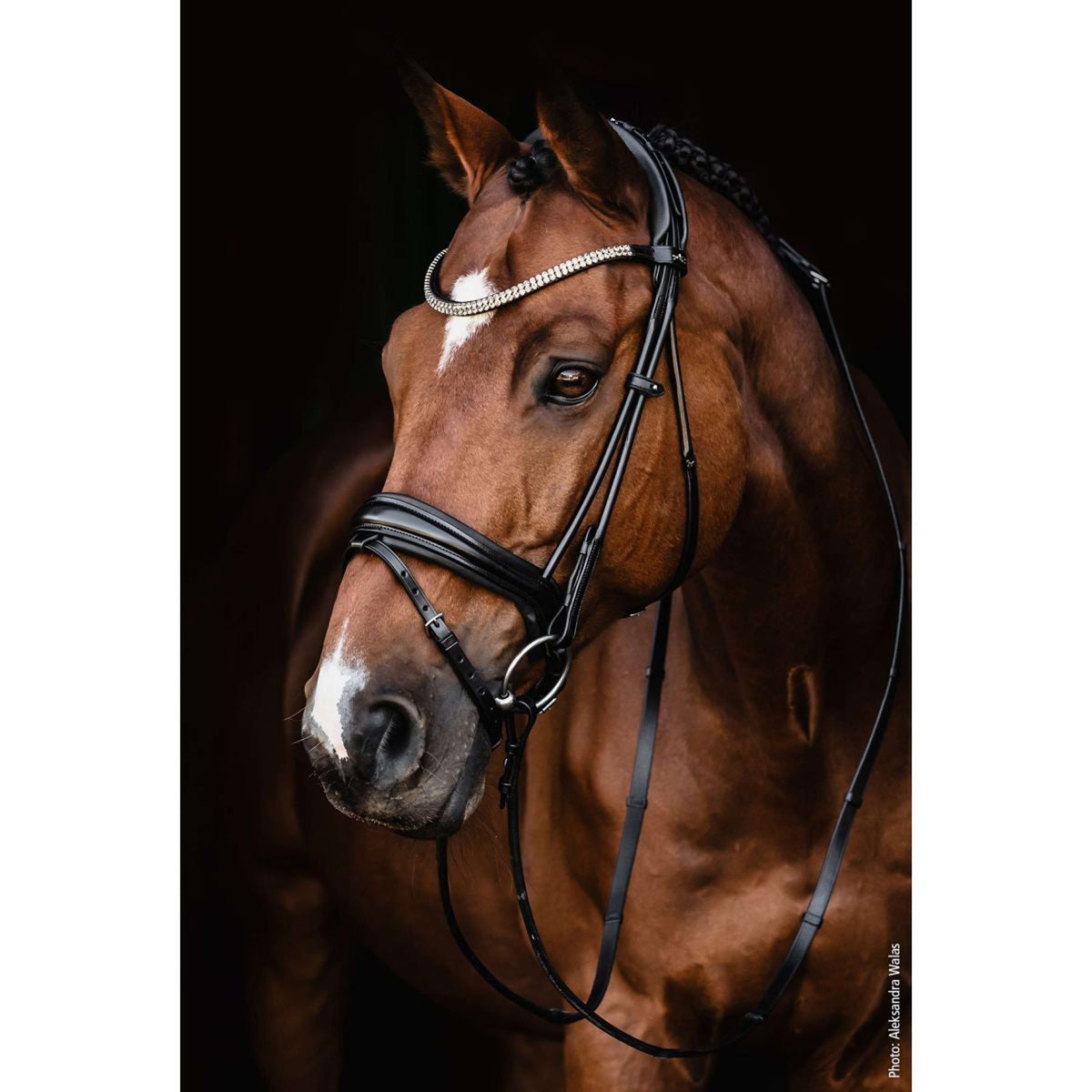 Schockemöhle Bridon SP Isabell Werth Satchmo Noir/Argent