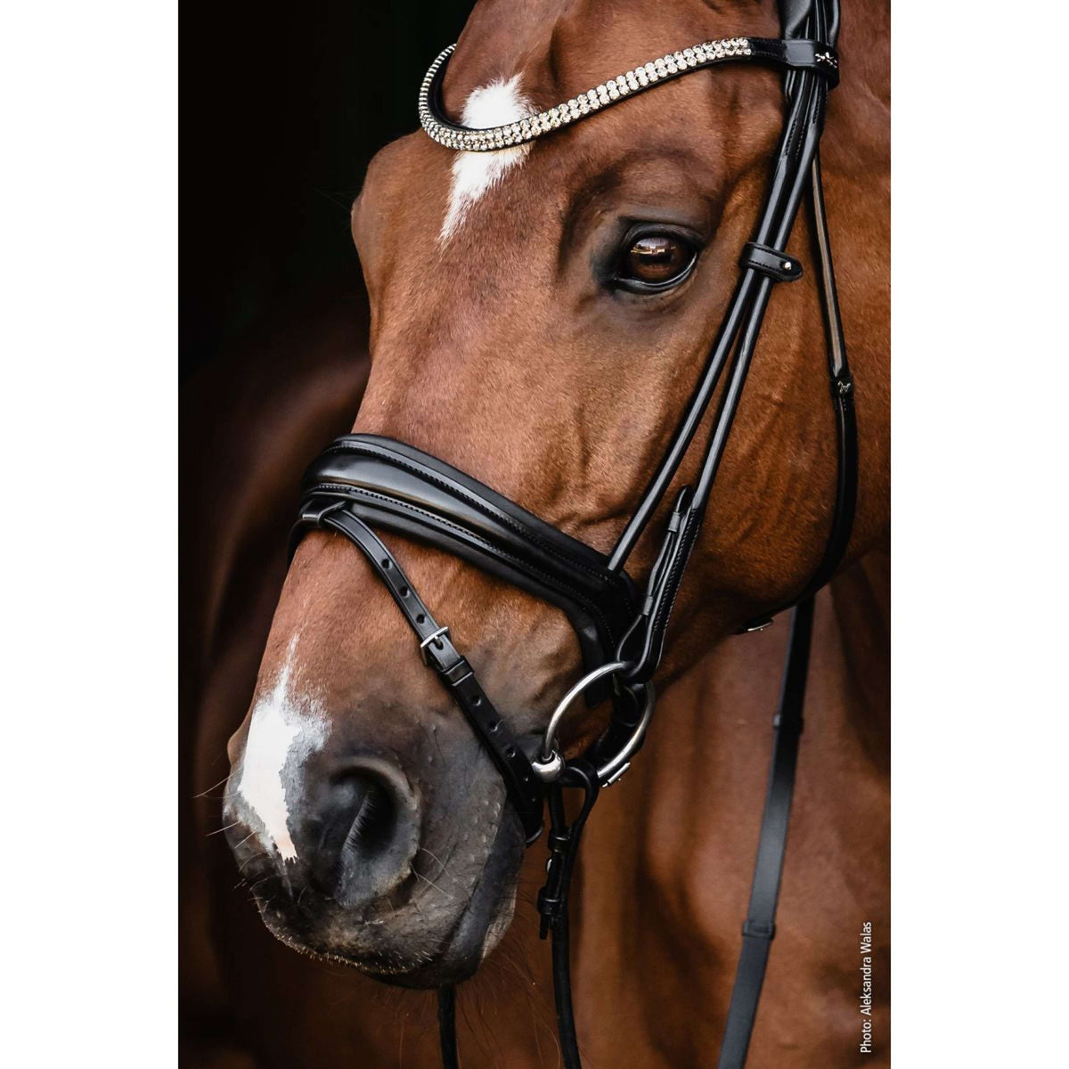 Schockemöhle Bridon SP Isabell Werth Satchmo Noir/Argent