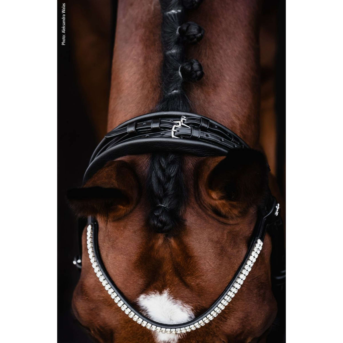 Schockemöhle Ensemble Bride SP Isabell Werth Bella Rose Noir/Blanc/Argent