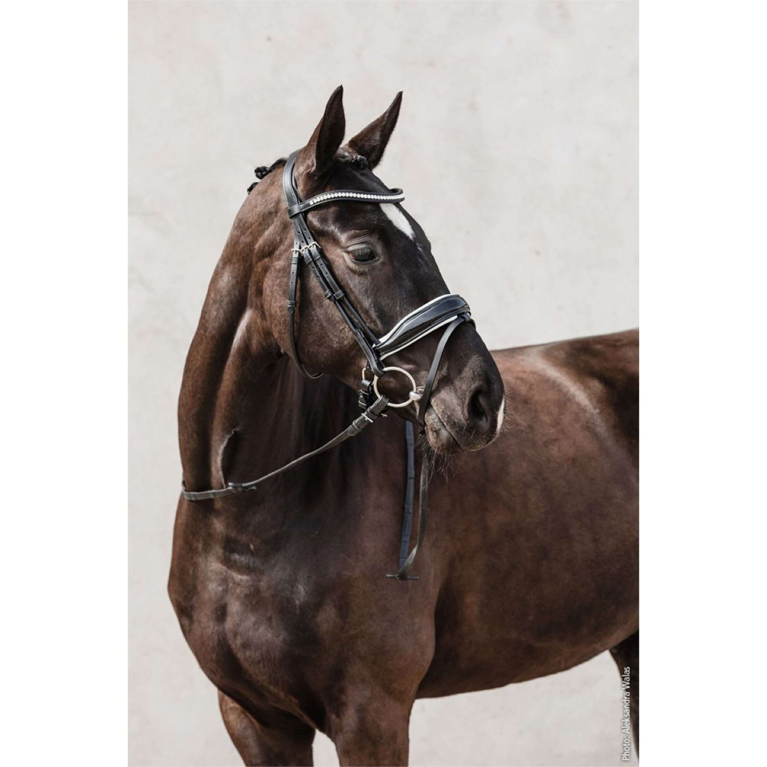 Schockemöhle Bride Premium sports Malibu Noir/Patent/Argent Schockemöhle Bride Premium sports Malibu Noir/Patent/Argent