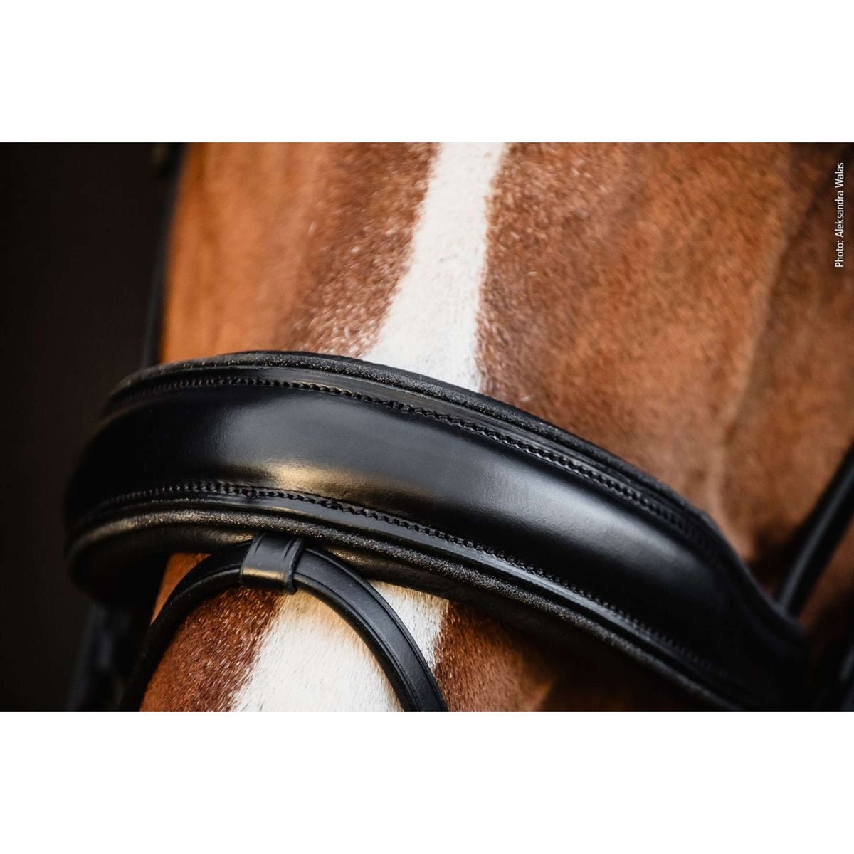 Schockemöhle Bride Valencia Noir/Argent