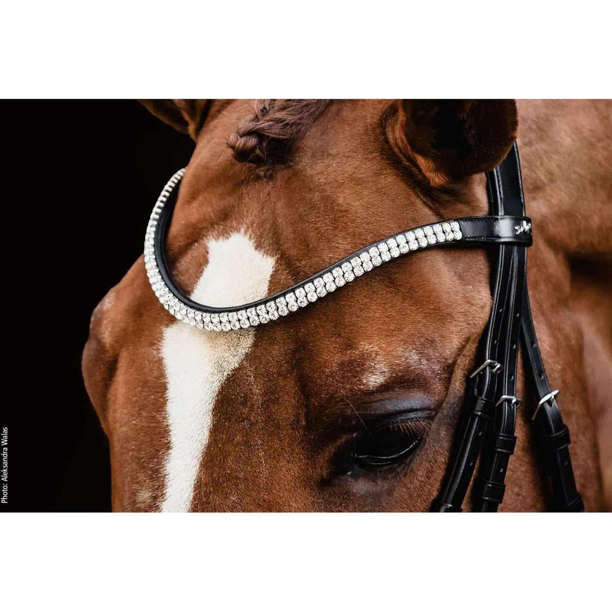 Schockemöhle Bride Valencia Noir/Argent