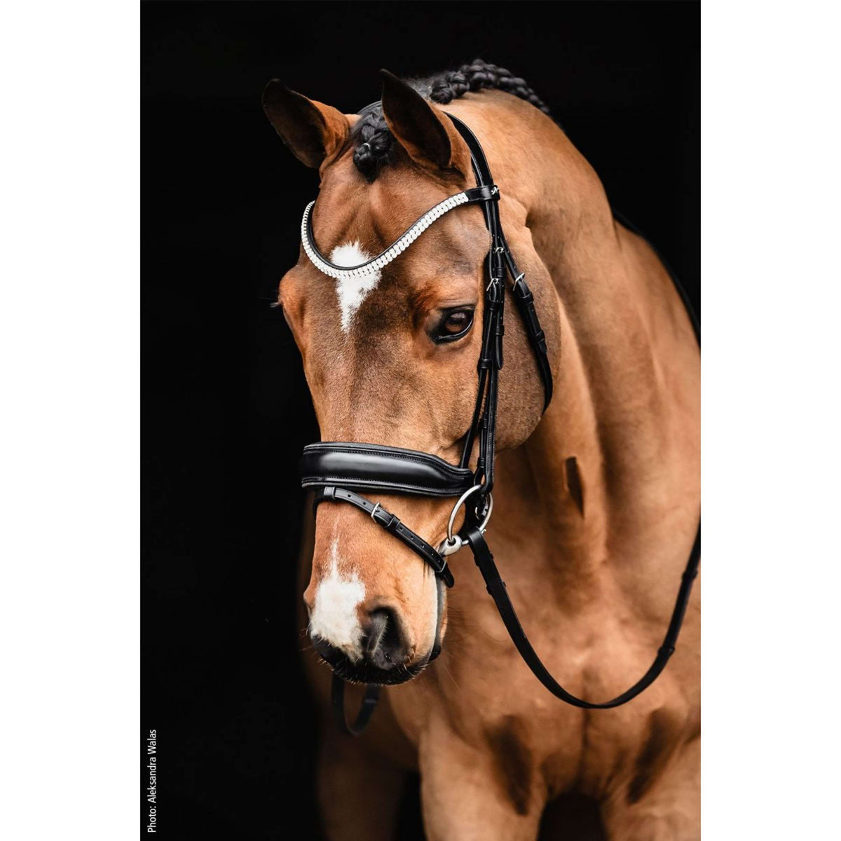 Schockemöhle Bride Valencia Noir/Argent