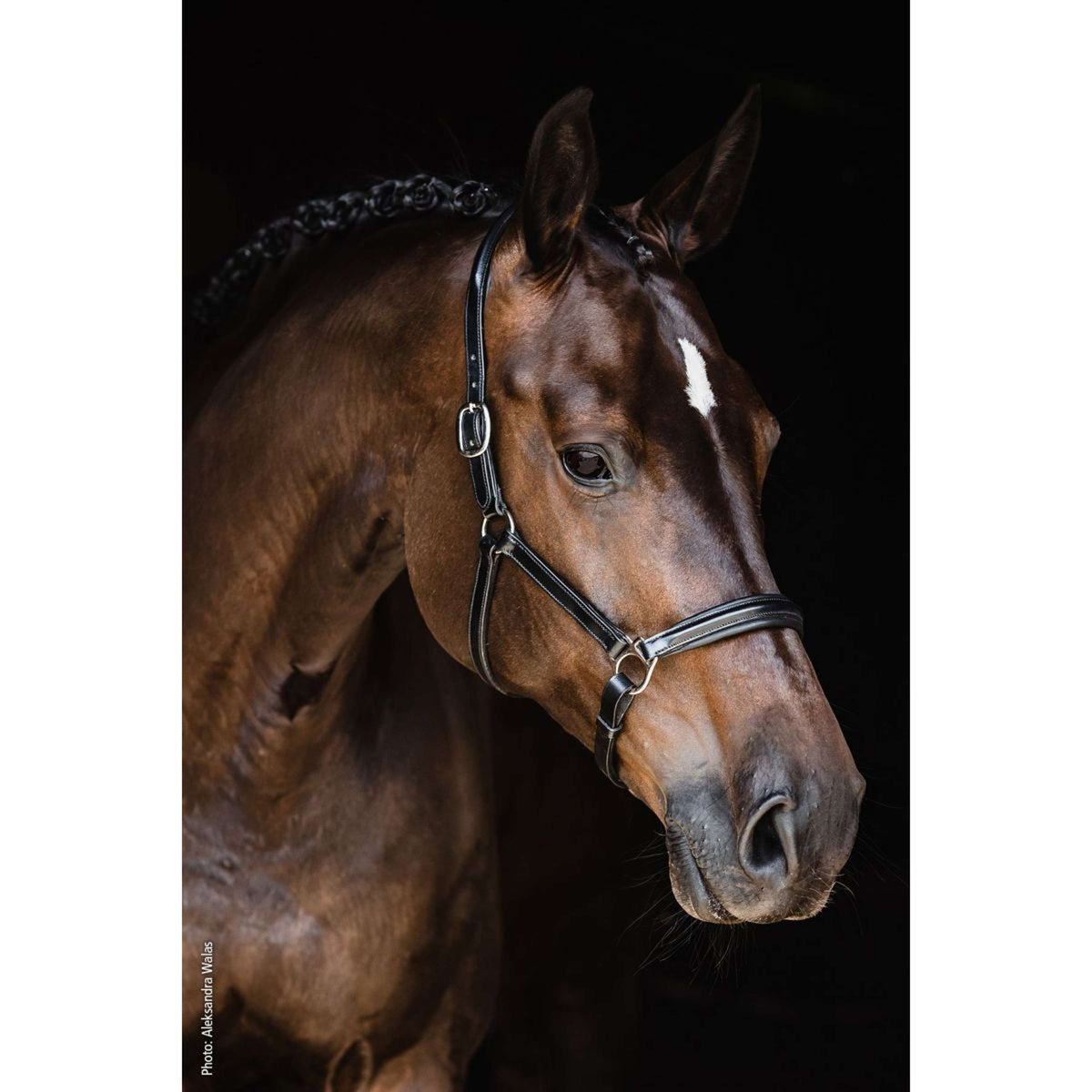 Schockemöhle Licol Ulm Pro Noir/Argent