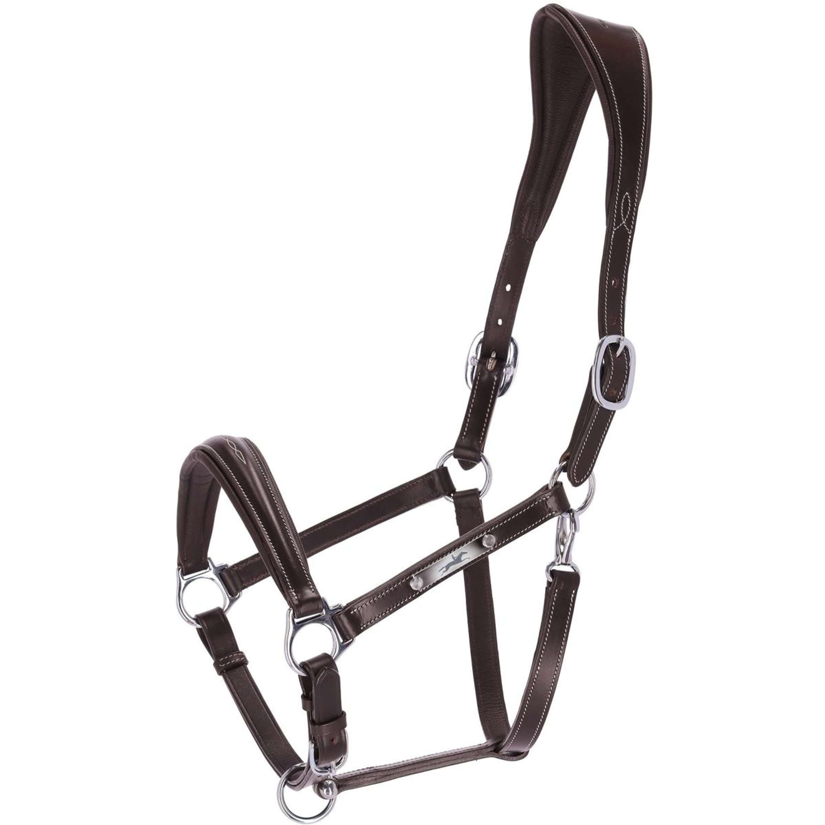 Schockemöhle Licol Frisco F Marron foncé/crème/argent Schockemöhle Licol Frisco F Marron foncé/crème/argent