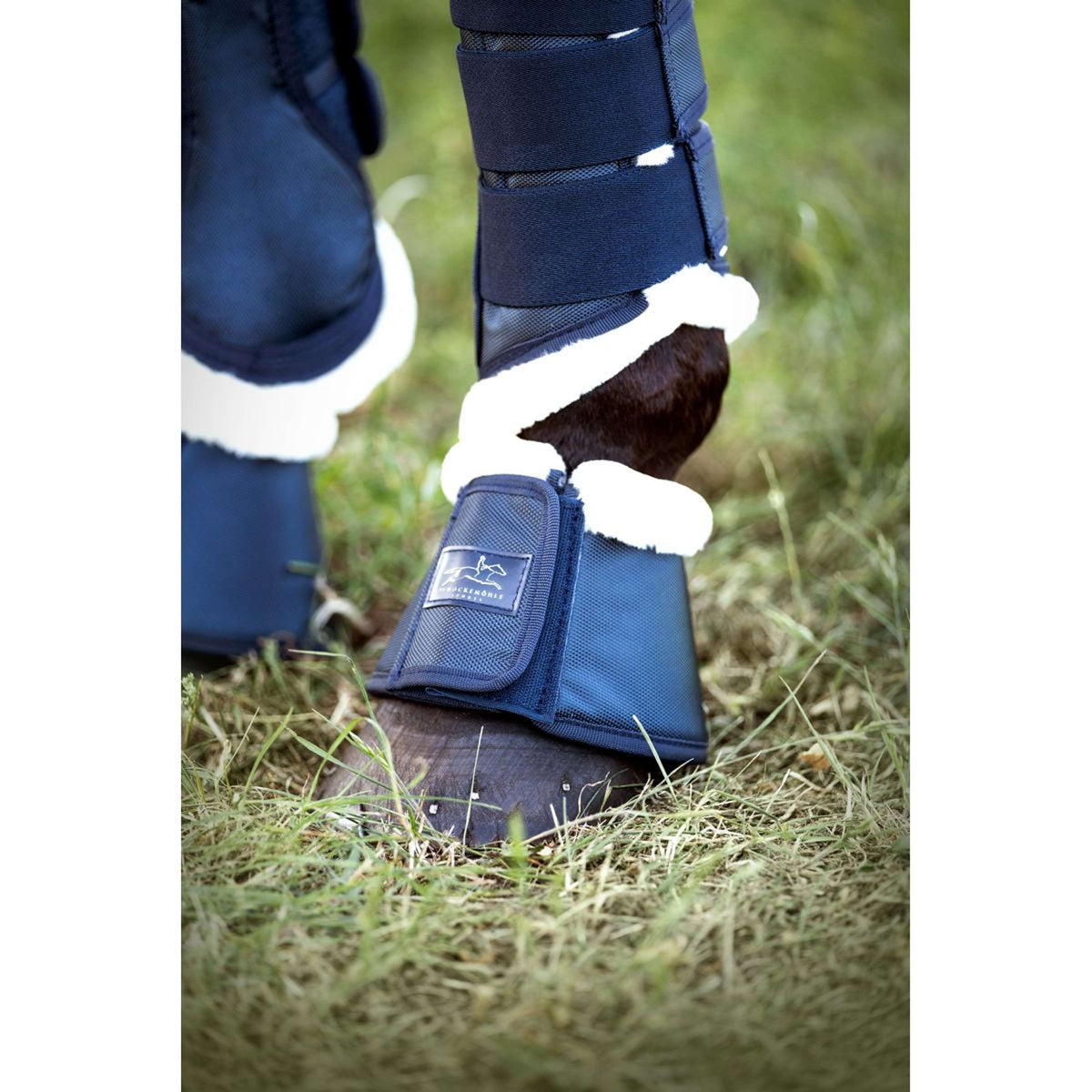 Schockemöhle Dressage Boots Cosy Bleu foncé