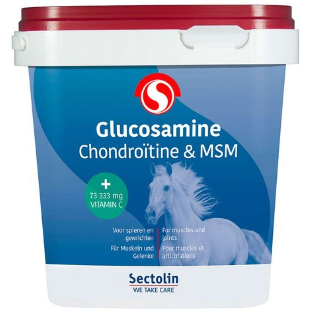 Sectolin Glucosamine Equivital Chondroïtine et MSM