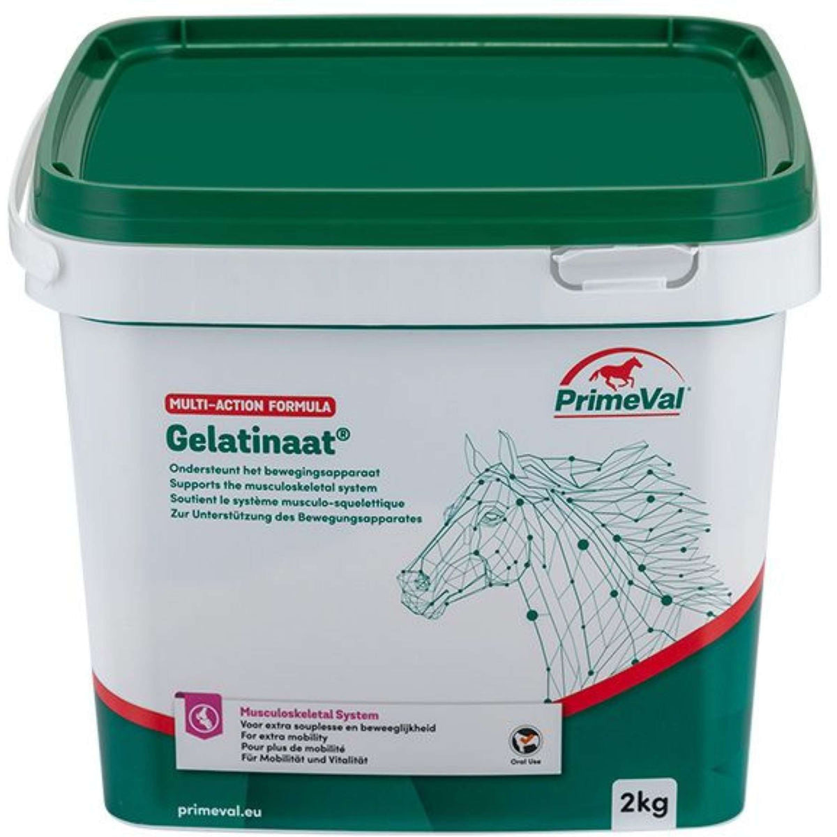 Tout sur le cheval : Falsina, Giovanni Tout sur le cheval : Falsina, Giovanni