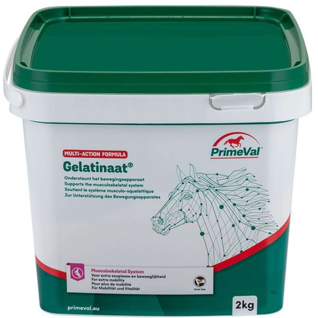 Primeval Gelatinate Cheval