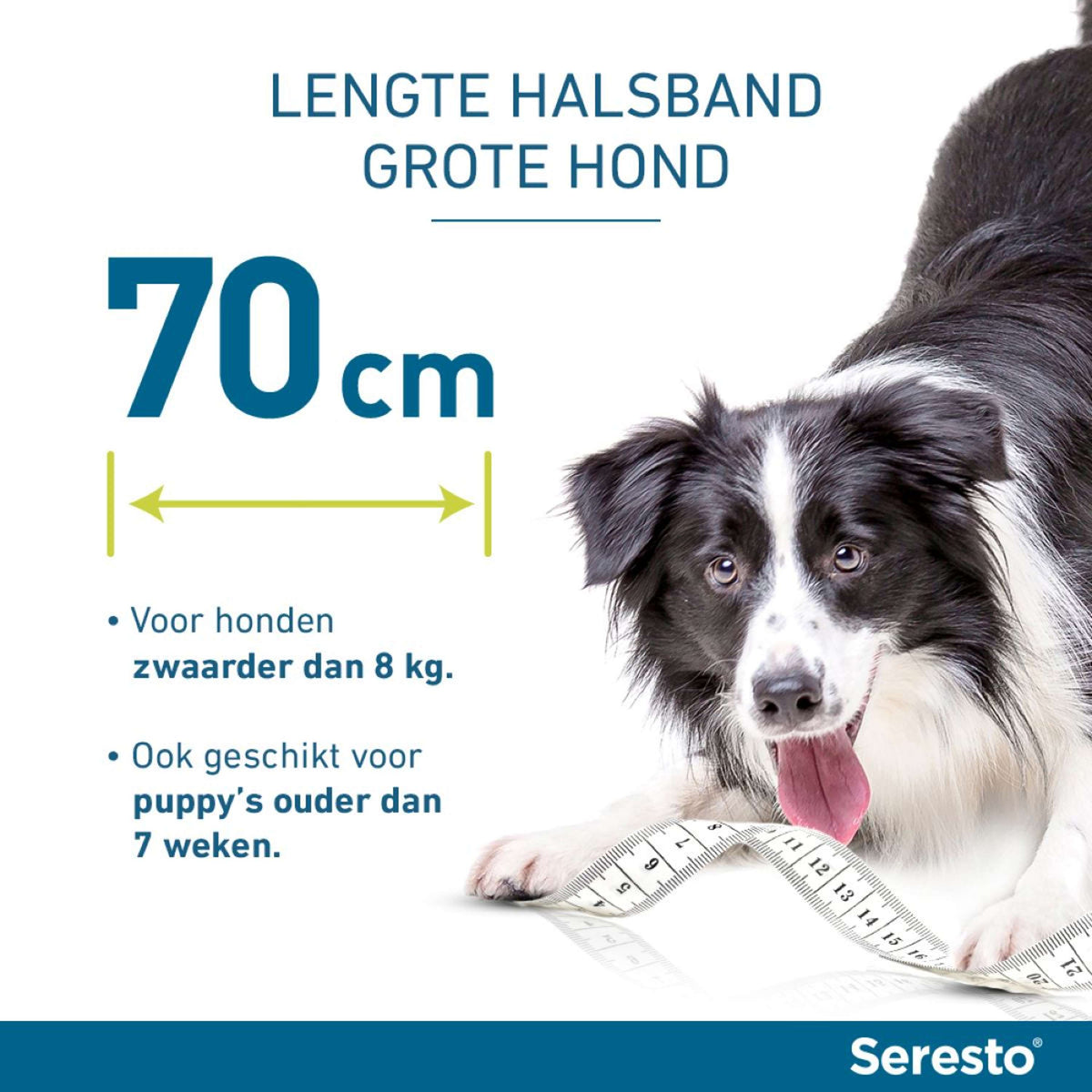 Seresto Collier Anti-Puces pour Grand Chien