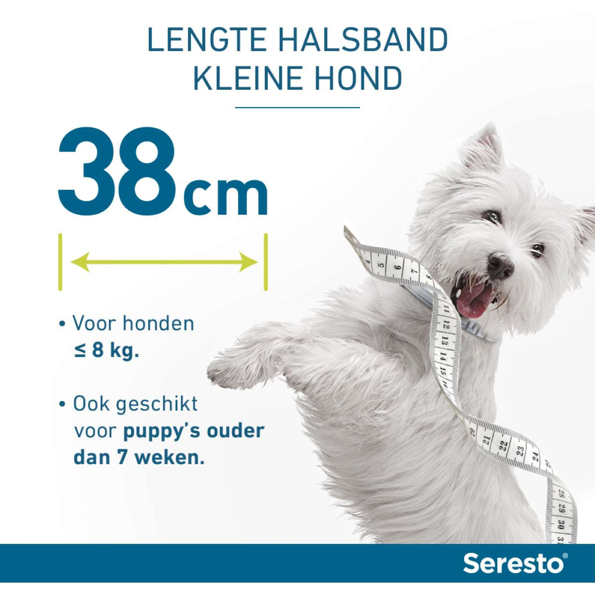 Seresto Collier Anti-Puces et Anti-Tiques Petit Chien jusqu'à 8kg