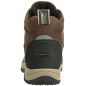 Suedwind Jodhpur Field Lace GripFTX Chocolat